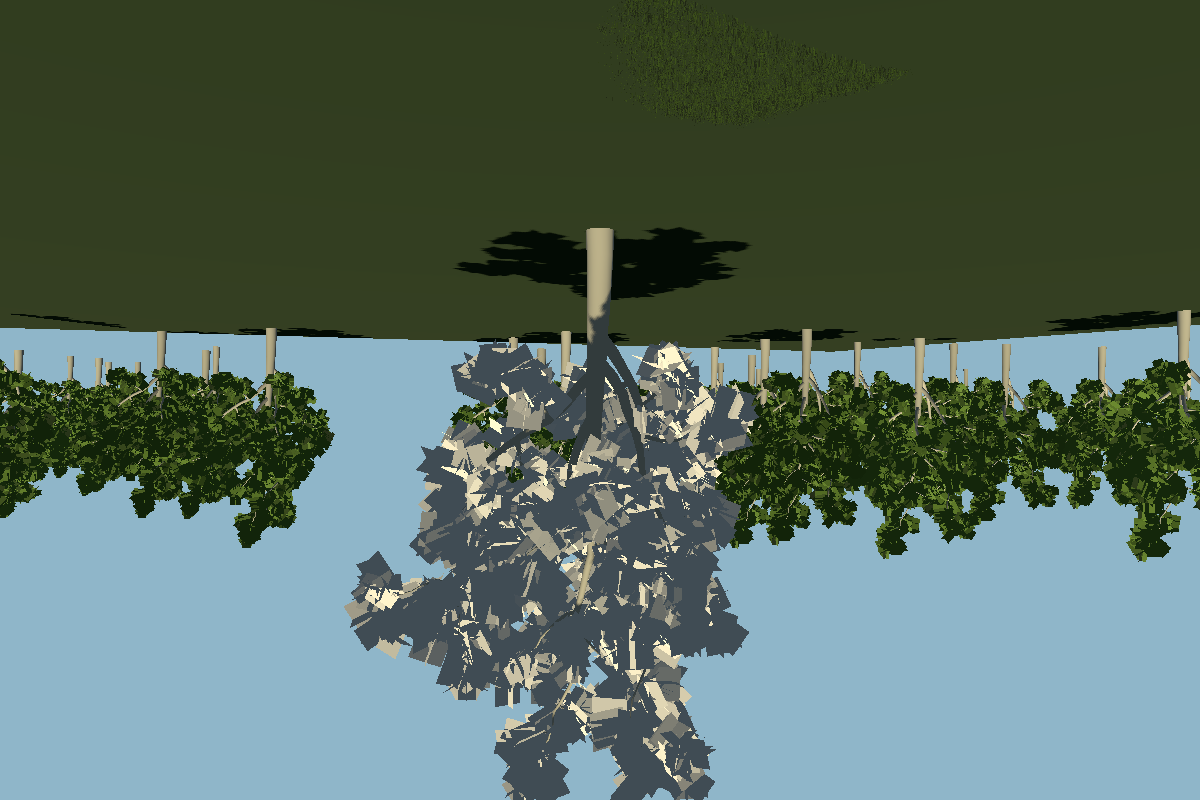 Procedural Vegetation: Temporal t1